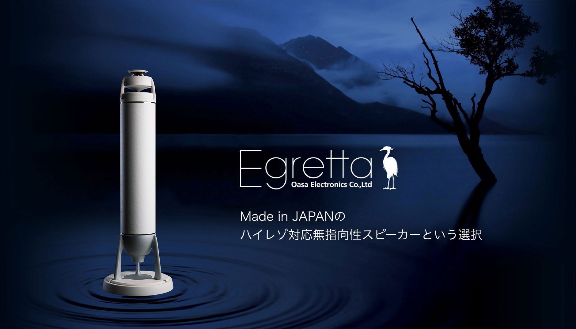 Egretta